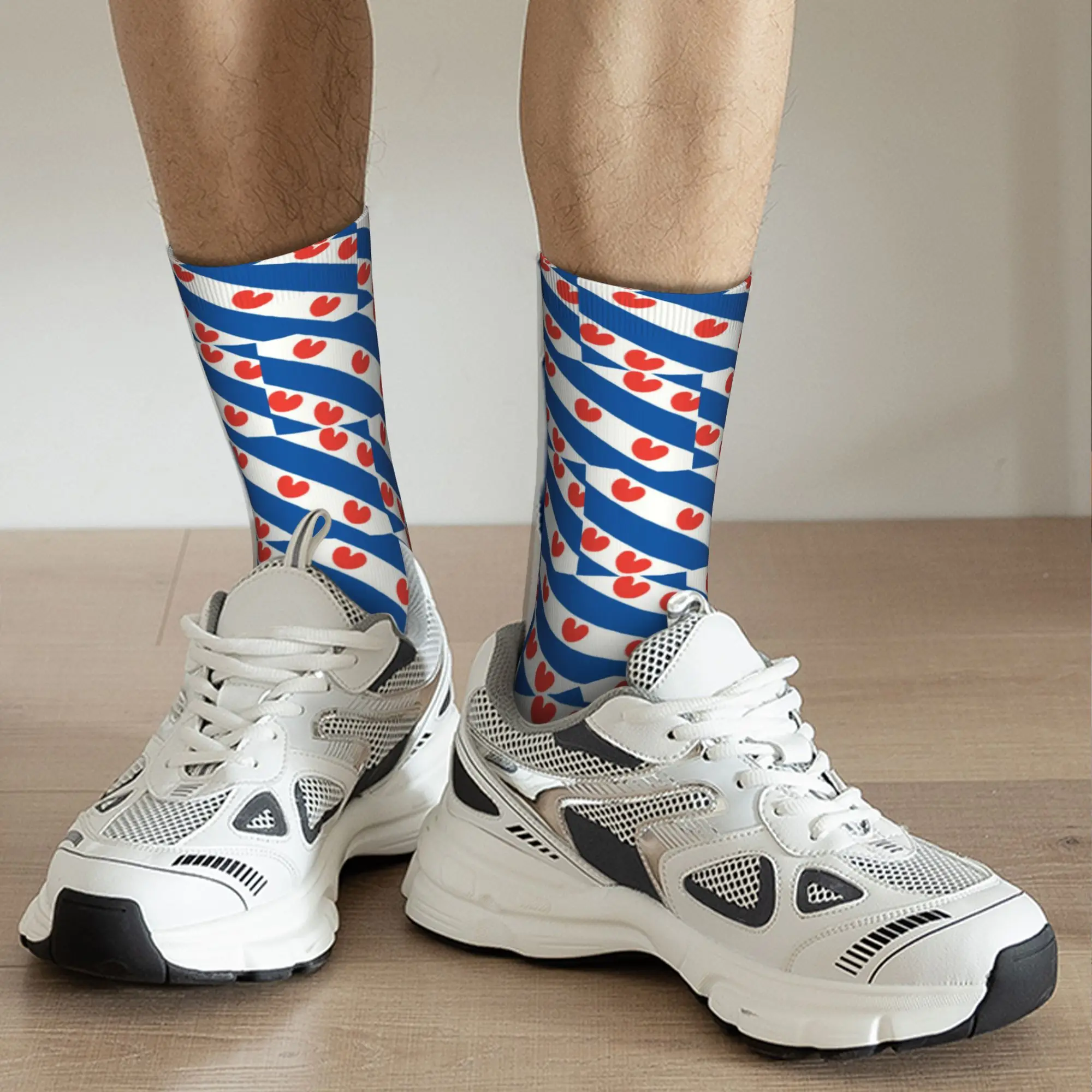 Skarpety męskie z flagą Friesl – Dress Sock Men recenzja i cena